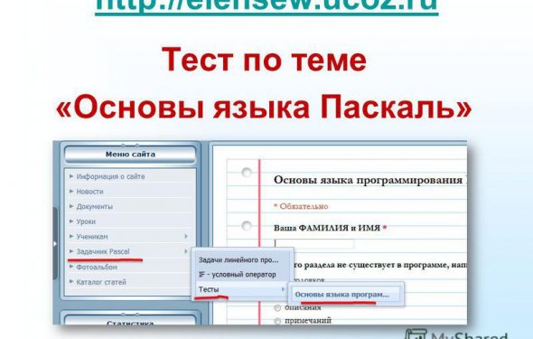 3 Тест по теме «Основы языка