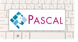 Курсы обучения Pascal